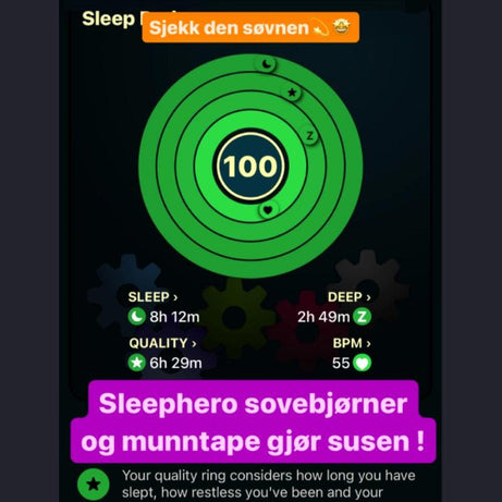 Sovebjørner 60 stk (2 mnd) - Sleephero
